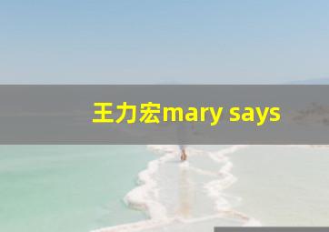 王力宏mary says